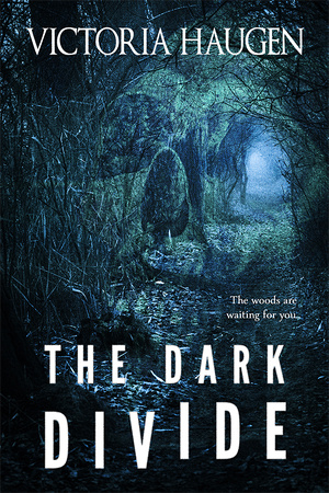 SOLD! Premade Cover - The Dark Divide - $150