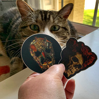 Chaos And Stickers
