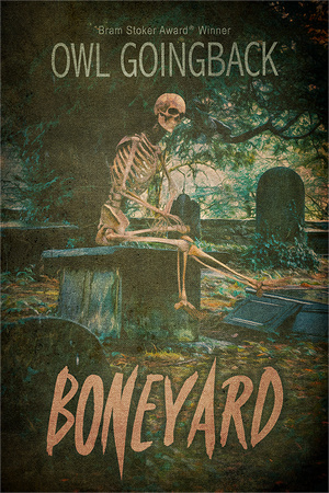 Boneyard by Owl Goingback